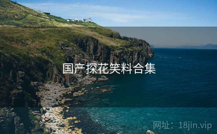 国产探花笑料合集