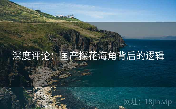 深度评论:国产探花海角背后的逻辑 深度评论:国产探花海角背后的逻辑