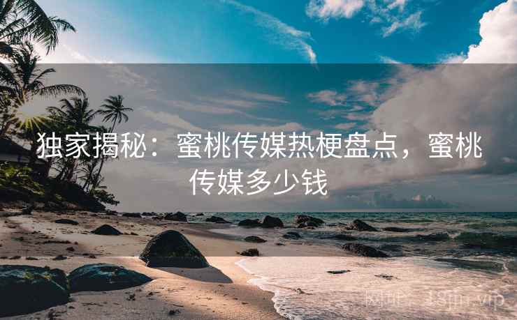 独家揭秘:蜜桃传媒热梗盘点,蜜桃传媒多少钱