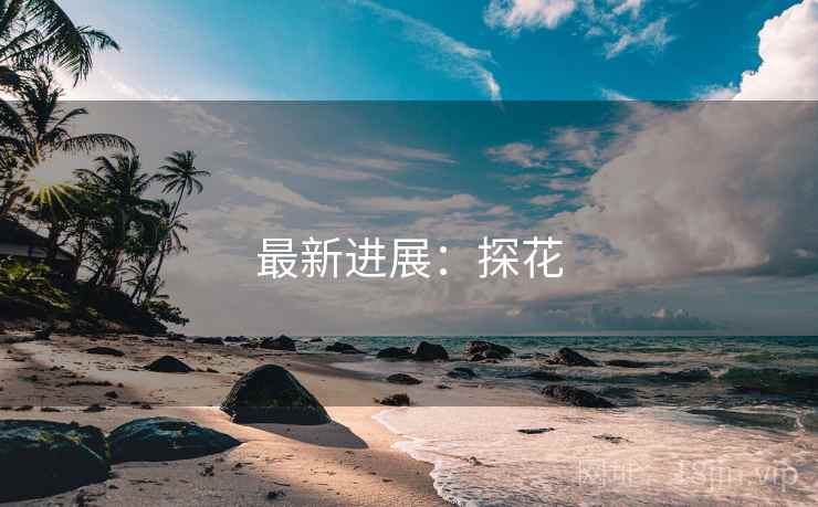 最新进展:探花